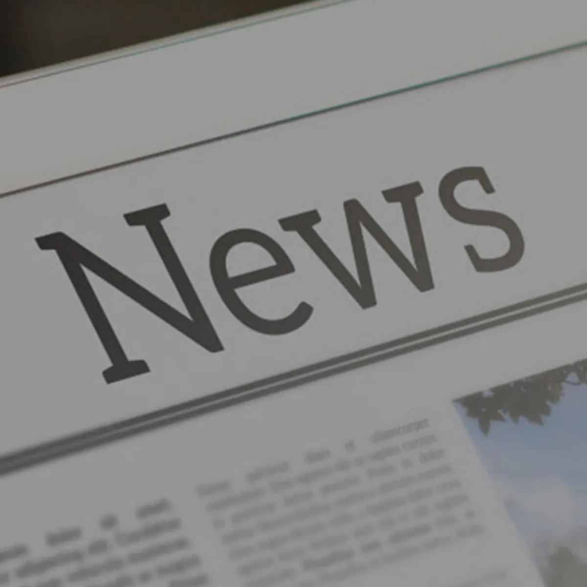 Blog/News
