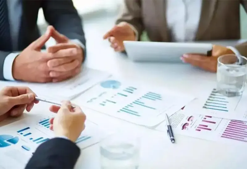 Project Consultation