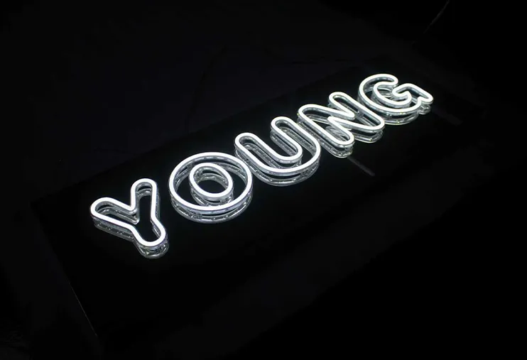 Refined Appearance and Flexible Customization