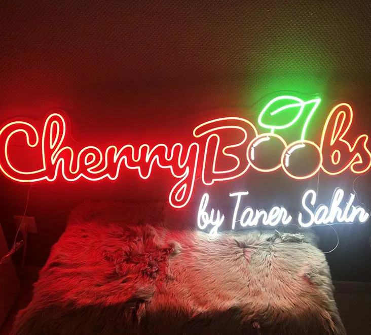 Integrated Neon Sign | Outdoor Neon Sign - HC Signs