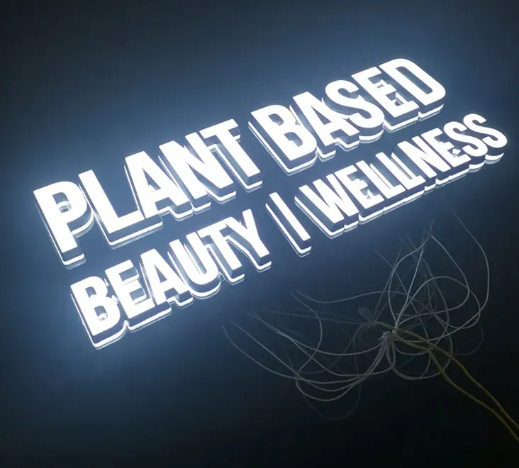 LED Frontlit & Backlit Channel Letters - Haichen